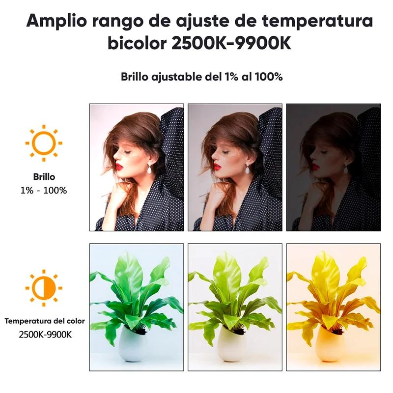 https://cdn.grupoalfatec.com.py/products/567ef5a2-0a08-4f0f-aee6-89619ec89088.webp