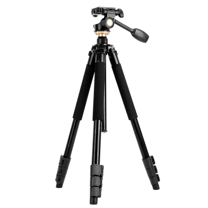 Tripe QZSD Q338 (1.83 MTS)