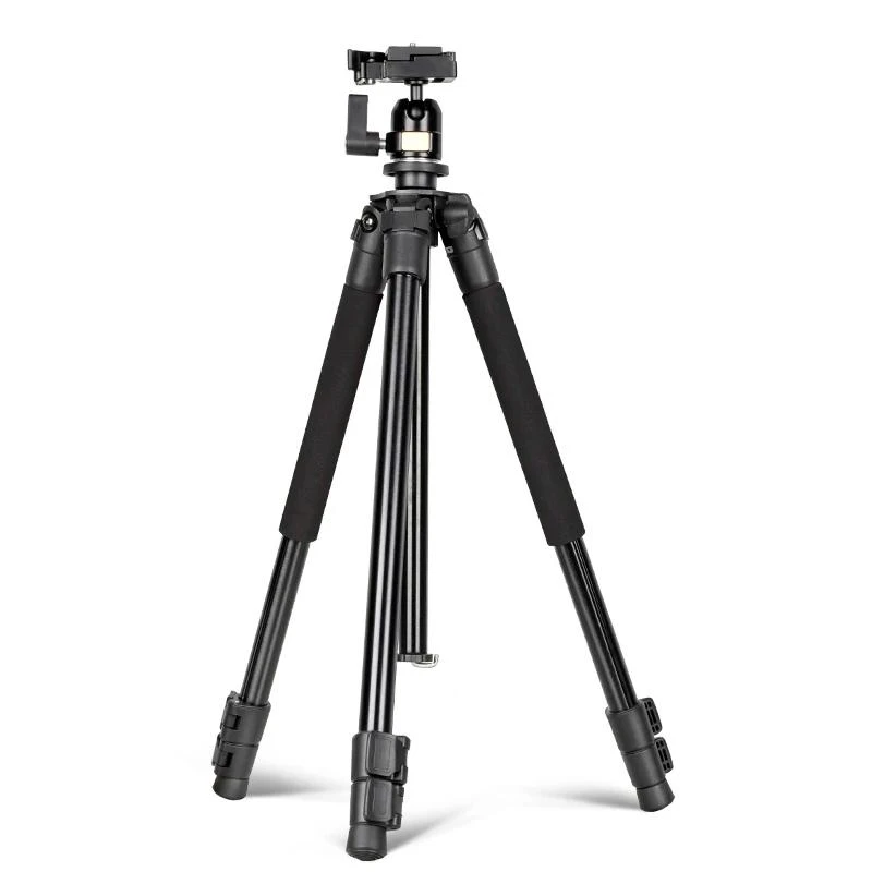 Tripe QZSD Q308 