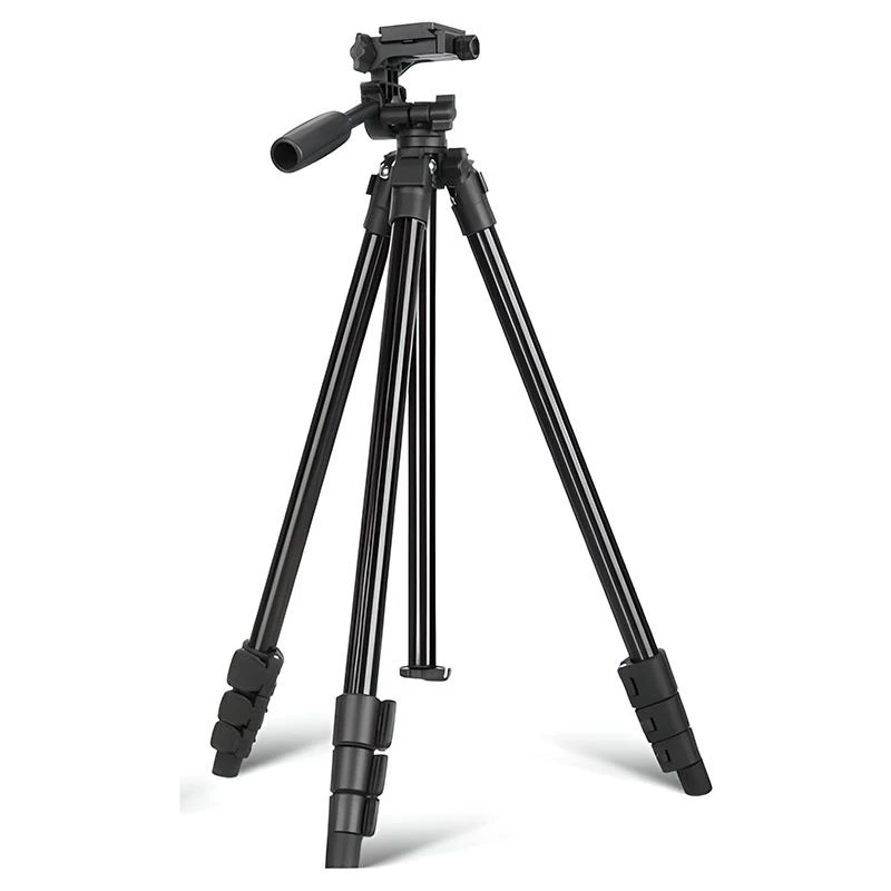 Tripe QZSD Q162