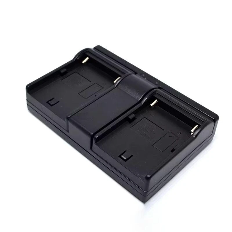 Carg. Dual Charge NP E-Reise Usb