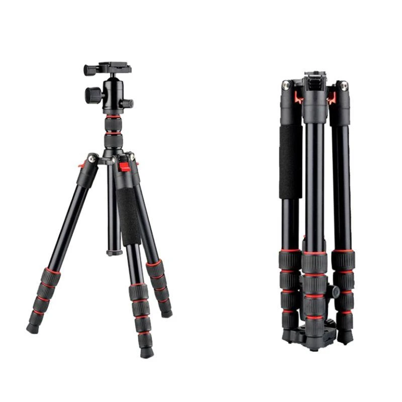 https://cdn.grupoalfatec.com.py/products/d65ff3d8-f62a-4f88-9bb8-8e1d39fec934.webp