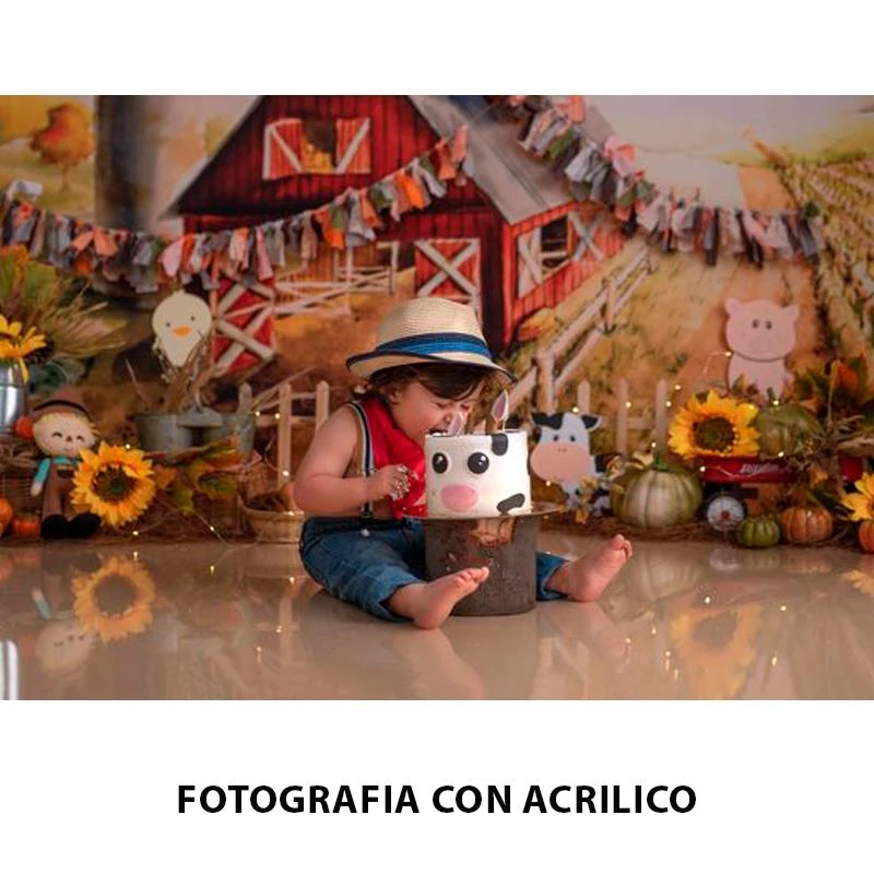https://cdn.grupoalfatec.com.py/products/dc6579f7-ce9c-428b-b4e9-24568498da31.webp