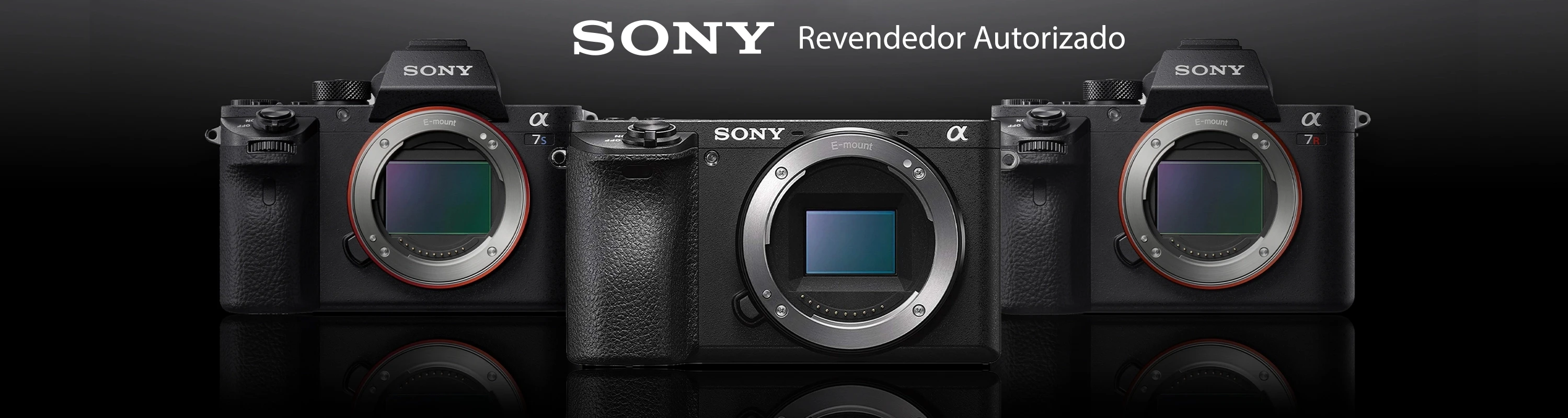 Sony reventa